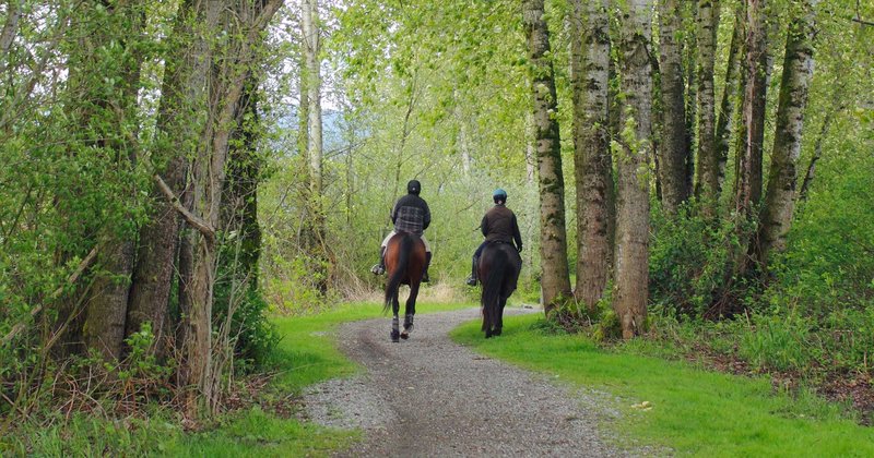 "I fell off a horse" - One Patient's Experiences with Recording Doctor Appointments